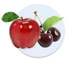 Apple-Sour Cherry