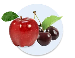 Apple-Sour Cherry