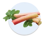 Rhubarb