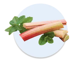 Rhubarb Bliss